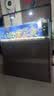 创宁水陆两用变频水泵静音过滤循环潜水泵CN9500-40W 10档流量调节 实拍图