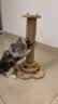 HELLOJOY猫抓柱实木剑麻猫抓板猫架猫咪玩具解闷磨爪猫抓柱立式猫树猫爬架 实拍图