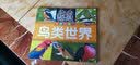 童眼识天下：鸟类世界（升级版） 实拍图
