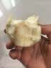 新鲜正宗广东产地直采红心白心芭乐双拼软糯香甜水果单果100g+ 5斤双拼净重4.2斤（红心+白心） 实拍图