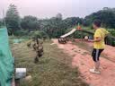 希乐（cille）塑料水杯大容量tritan夏季男女学生运动健身便携刻度茶水分离杯子 实拍图