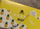 丝袜女新款防勾丝轻薄光腿神器修身显瘦连裤袜薄款裸感透气菠萝袜 肤色 【显瘦修身防勾丝】 均码 【推荐80-140斤】 实拍图