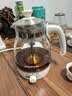 金灶（KAMJOVE） 养生壶煮茶器喷淋式煮茶炉白茶壶黑茶壶办公室家用蒸汽煮茶壶1L 白色 1L 实拍图