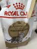 皇家英短成猫粮 BS34 通用粮 12月以上 4.5KG 实拍图