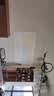 极光追H6投影仪家用高清办公会议4K卧室商务高流明家庭影院客厅白天手机投屏儿童投影机 【顶配版】4K超清解码+德国超强光源 实拍图