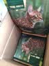 网易严选全价鲜鸡肉猫粮J40 生骨肉无谷主食冻干 成幼猫草本植萃 1.5kg*4 实拍图