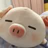 名创优品（MINISO）小猪B-BO玩偶公仔毛绒娃娃抱枕靠枕生日礼物女儿童玩具趴趴bobo猪 实拍图