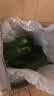京喜加寿光新鲜无刺水果小黄瓜小青瓜脆甜荷兰脆嫩生吃黄瓜蔬菜 泡沫箱装 4斤 （净重 3.8） 实拍图