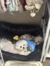 汪爸爸【PLUS专享】鲜肉全价鸭肉梨犬粮泰迪柯基幼犬成犬全阶段囤货装 鲜肉鸭肉梨犬粮2kg*3 实拍图