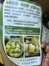 京鲜生 山东玉菇甜瓜 净重8-9斤 2-4粒装 单果1.8斤+新鲜水果源头直发 实拍图