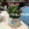 仟尚艺花盆陶瓷带托盘家用吊兰绿萝多肉花盆口径发财树绿植花盆仟尚艺 S1粉色蝴蝶单个 中等 实拍图