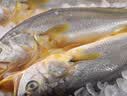 三都港 冷冻黄花鱼700g/2条装 大黄鱼深海鱼 生鲜鱼类 海鲜水产中秋礼品 实拍图