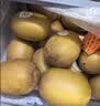 佳沛（zespri）新西兰金奇异果10粒巨大果146-175g猕猴桃中秋节礼品送水果礼盒 实拍图