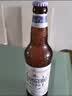 青岛啤酒（TsingTao）精酿白啤全麦原麦汁浓度10°P  500ml*12瓶整箱装 中秋节送礼 实拍图