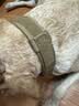 京东京造狗粮中大型犬成犬幼犬鲜肉全价狗粮10kg/20斤边牧金毛拉布拉多 实拍图
