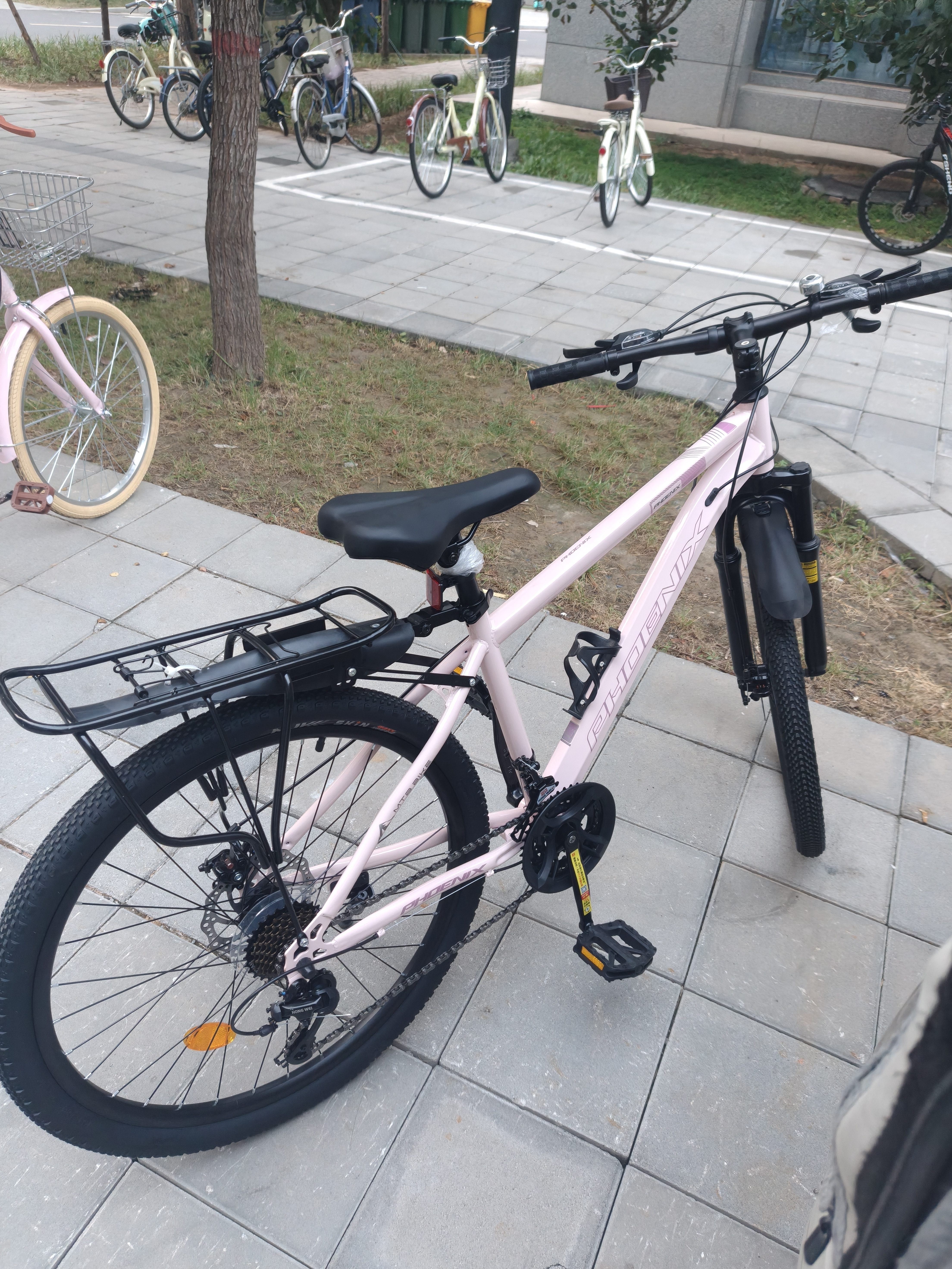 凤凰（Phoenix） 上海凤凰山地自行车成人男士女式学生变速宽胎越野赛车公路单车 钢架辐条轮粉【省力全轴承】 26寸24速【参考:158-188cm】 实拍图