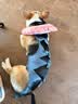 宠号狗狗绝育服母犬四脚衣手术服断奶衣服小中大型犬金毛柯基泰迪比熊 粉色（四季纯棉 绝育仅母犬可用） L 建议20-40斤 实拍图