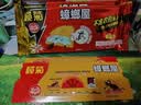 榄菊蟑螂屋12片/盒蟑螂贴家用杀蟑除蟑螂药灭蟑螂器全窝端 实拍图