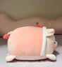 名创优品（MINISO）小猪B-BO草莓猪玩偶毛绒公仔娃娃抱枕靠枕女孩生日礼物玩具送闺蜜 实拍图