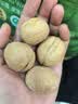 京东京造原味新疆烤核桃1kg 烤核桃熟核桃坚果薄皮核桃休闲零食京东自营 实拍图