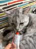 红狗 化毛膏58g+猫草片200片 化毛膏猫咪猫咪维生素猫咪维生素b 实拍图