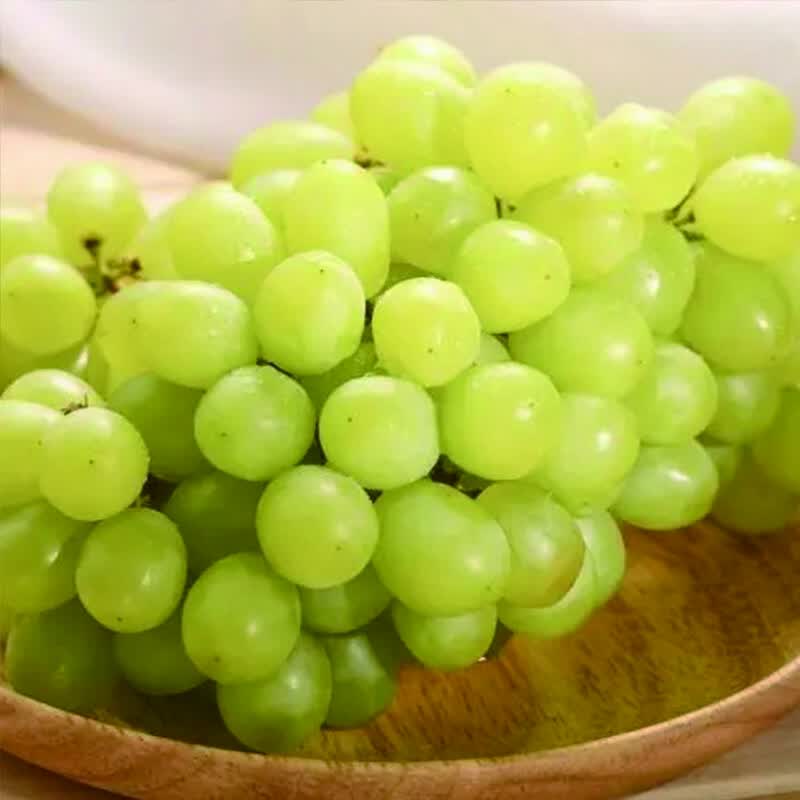新疆无核白葡萄750g 实拍图