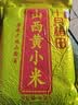 十月稻田 山西黄小米 5斤 山西特产 小米黄小米 杂粮早餐粥 中秋送礼 实拍图