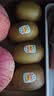 佳沛（zespri）新西兰金奇异果8粒特大果124-146g猕猴桃中秋节礼品送水果礼盒 实拍图