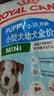皇家狗粮幼犬狗粮幼犬奶糕宠物小型犬MIJ31全价犬粮2-10月8KG 实拍图