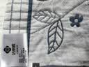 洁丽雅100%A类新疆棉7A抗菌枕巾加大加厚立体单人枕巾蒲公英-蓝 一对装 实拍图