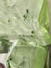 山茶花免撕垃圾袋家用加厚手提式抽绳味自动收口塑料袋家用45*45 山茶花小熊免撕-50只 实拍图