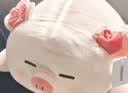 名创优品（MINISO）小猪B-BO玩偶公仔毛绒娃娃抱枕靠枕生日礼物女儿童玩具趴趴bobo猪 实拍图