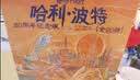 哈利波特全集20周年纪念版（全20册） 原创封面 小开本 低价格 课外阅读 阅读 童书  哈利波特全套正版 京东自营  一升二衔接 小升初衔接  实拍图