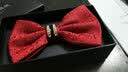 高川 男士新郎结婚领结胸针口袋巾三件套装 蝴蝶结英伦风Bowtie礼盒装 升级款【酒红 镶水钻】 实拍图