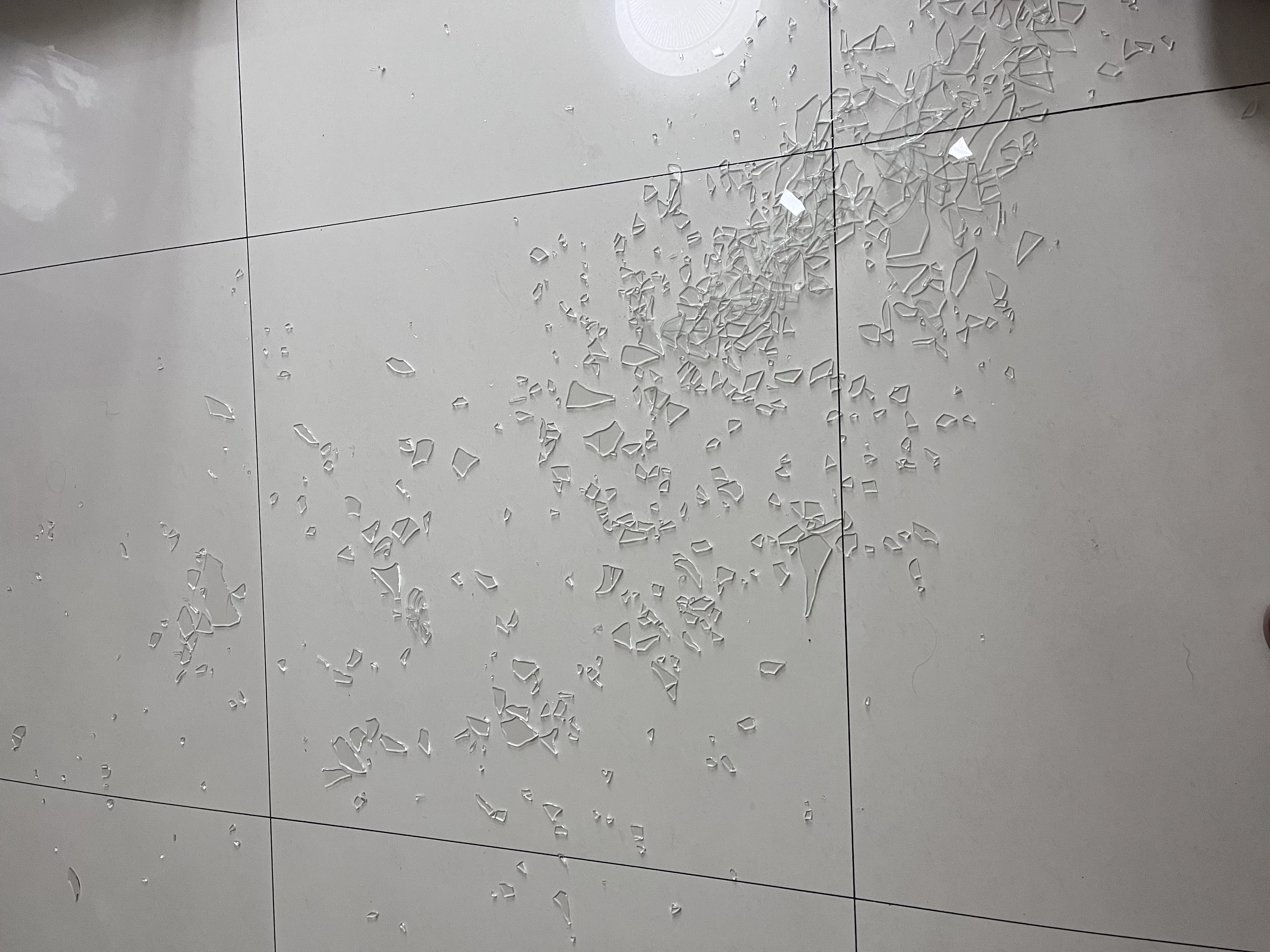 它适鹦鹉笼T50不锈钢全景玻璃家用大号牡丹虎皮小太阳鸟笼 不锈钢款 实拍图