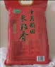 十月稻田 长粒香大米 10斤（东北大米 香米 5kg/公斤） 实拍图