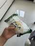 特级山东龙口粉丝花甲蒜蓉扇贝无添加速食米粉米线方便面炒米粉 60g龙口粉丝*1袋 实拍图