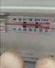 德力西电气（DELIXI ELECTRIC）冰箱温度计高精度冷库专用医药冷藏立式测表家用厨房 实拍图