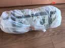 京东京造 户外野餐垫公园帐篷防潮垫露营垫超声波可机洗地垫繁花200*200cm 实拍图