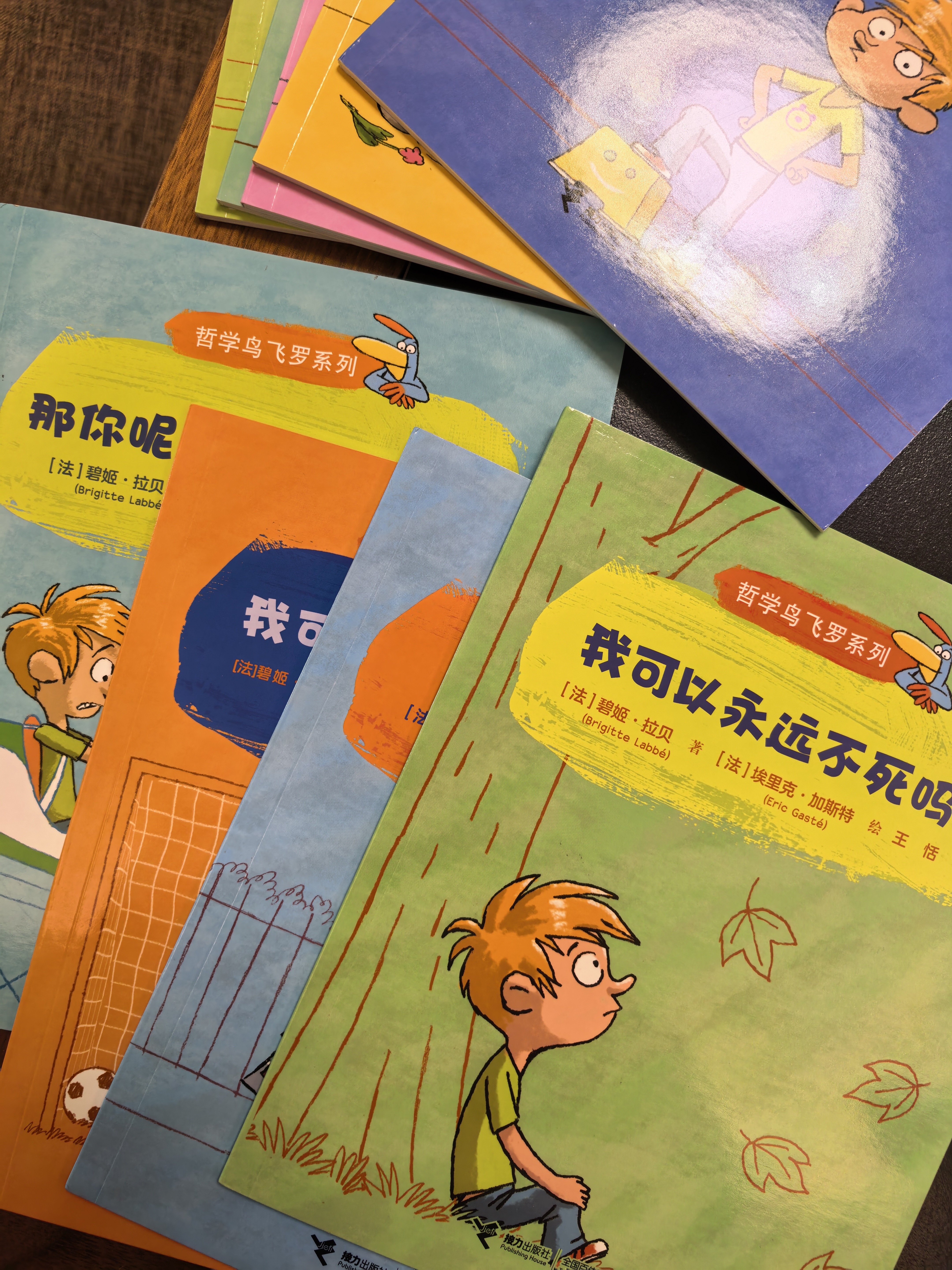我可以放弃一切吗？/哲学鸟飞罗(中国环境标志产品 绿色印刷)  实拍图