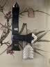 立邦铲胶器玻璃胶美缝剂瓷砖填缝剂勾缝客厅地板砖多功能 100g 实拍图
