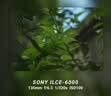 索尼（SONY）E 18-135mm F3.5-5.6 OSS APS-C画幅中远摄变焦镜头 SEL18135(拆机版） 实拍图