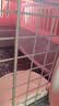喵先生【带挂碗+垫板】宠物航空箱大号狗猫托运箱猫咪狗狗航空箱运输箱 一号PLUS 建议18斤以内 实拍图