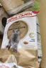 皇家猫粮 英短成猫粮 BS34 通用粮 12月以上 2KG 实拍图
