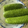 【水果菜】东北旱黄瓜约550g 实拍图