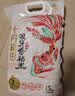 十月稻田 油粘米 银牙香粘米 10斤（南方大米 籼米 5kg/公斤） 实拍图