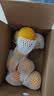 京鲜生 云南爱媛38号果冻橙 净重5斤 单果150g起 生鲜水果桔子礼盒 实拍图