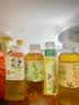 农夫山泉东方树叶茉莉花茶500ml*15瓶无糖茶饮料0糖0脂0卡整箱装 实拍图