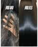 维特丝护发素柔顺干枯毛躁修复顺滑男女士香蓬松发膜蛋白营养头发防掉发 实拍图