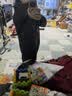 京东京造冲锋衣男女同款秋季新款防水夹克外套户外硬壳 曜石黑 2XL 实拍图